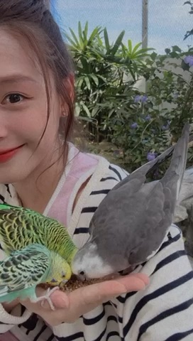 回巢農場 | 去趣 chicTrip