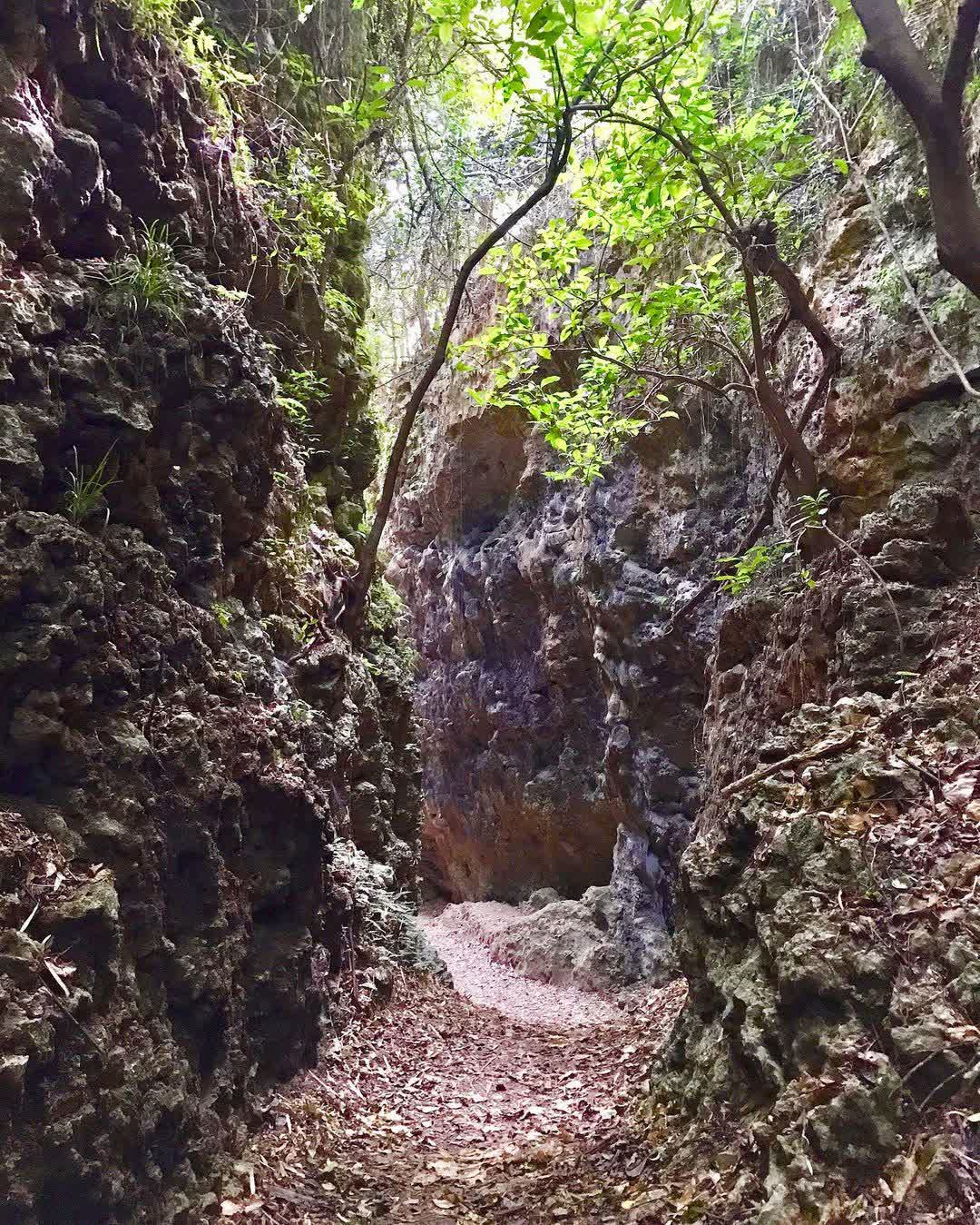 盤龍峽谷 | 去趣 chicTrip