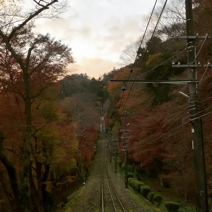 高尾山纜車 | 去趣 chicTrip