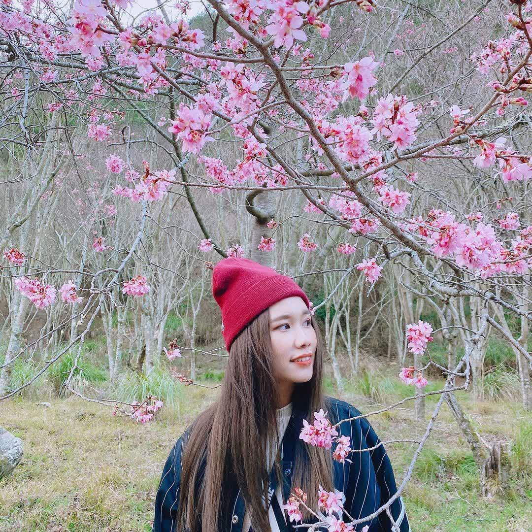 武陵農場 | 去趣 chicTrip