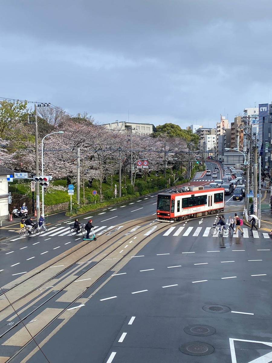 飛鳥山公園 | 去趣 chicTrip