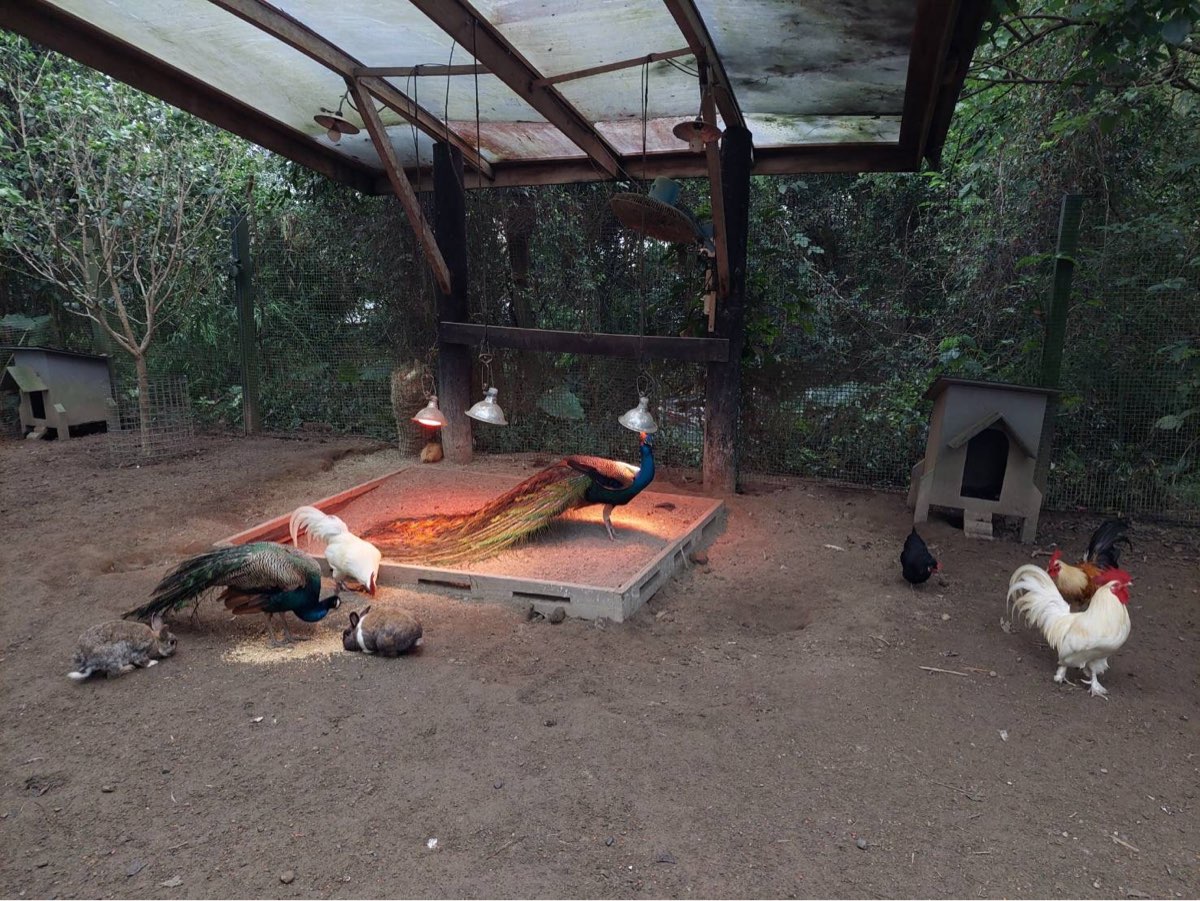 綠世界生態農場 | 去趣 chicTrip