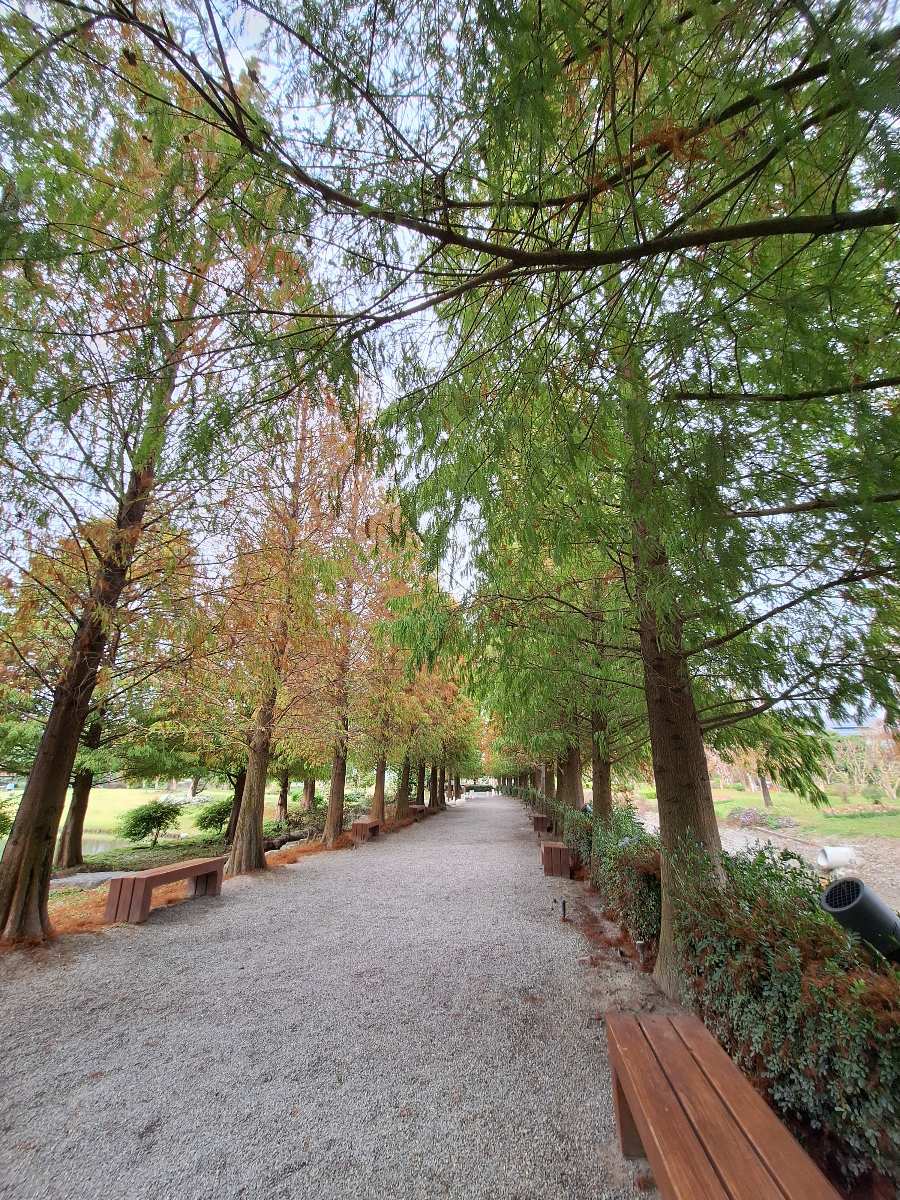 成美文化園 | 去趣 chicTrip