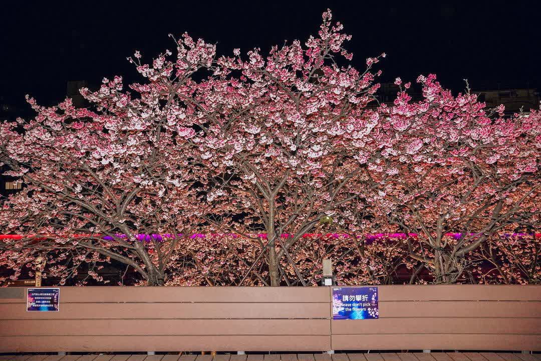 樂活公園 | 去趣 chicTrip