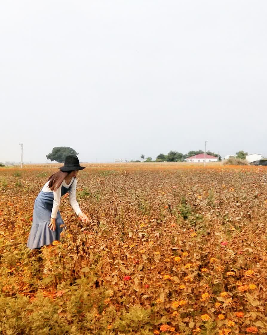 鹽水月津港歷史街區 | 去趣 chicTrip