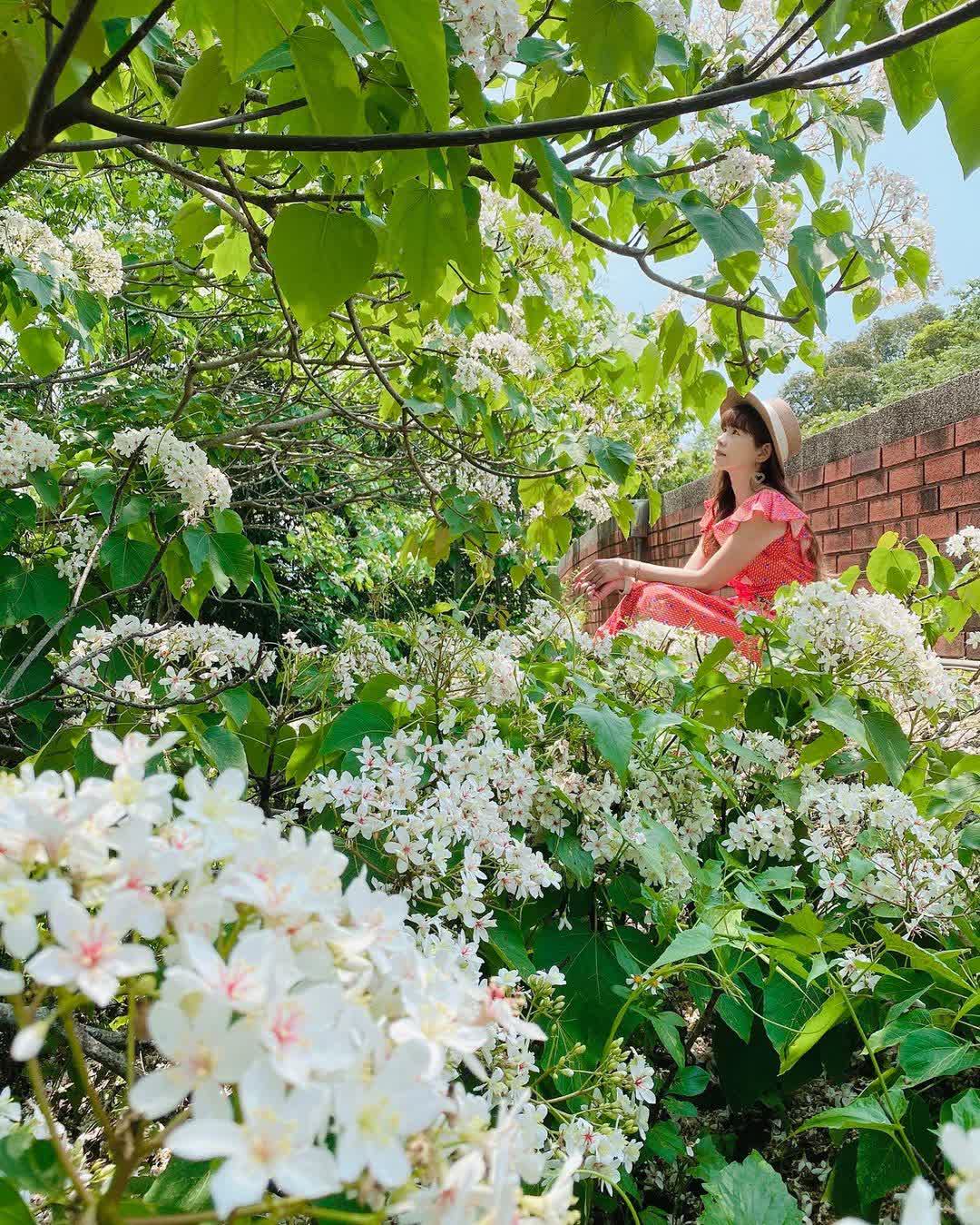 姜太公中部道場-客家大院 | 去趣 chicTrip