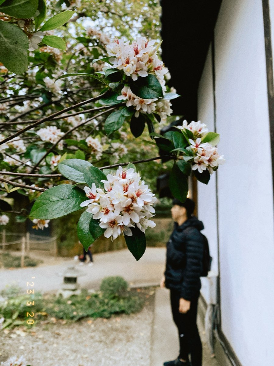 新竹公園 | 去趣 chicTrip
