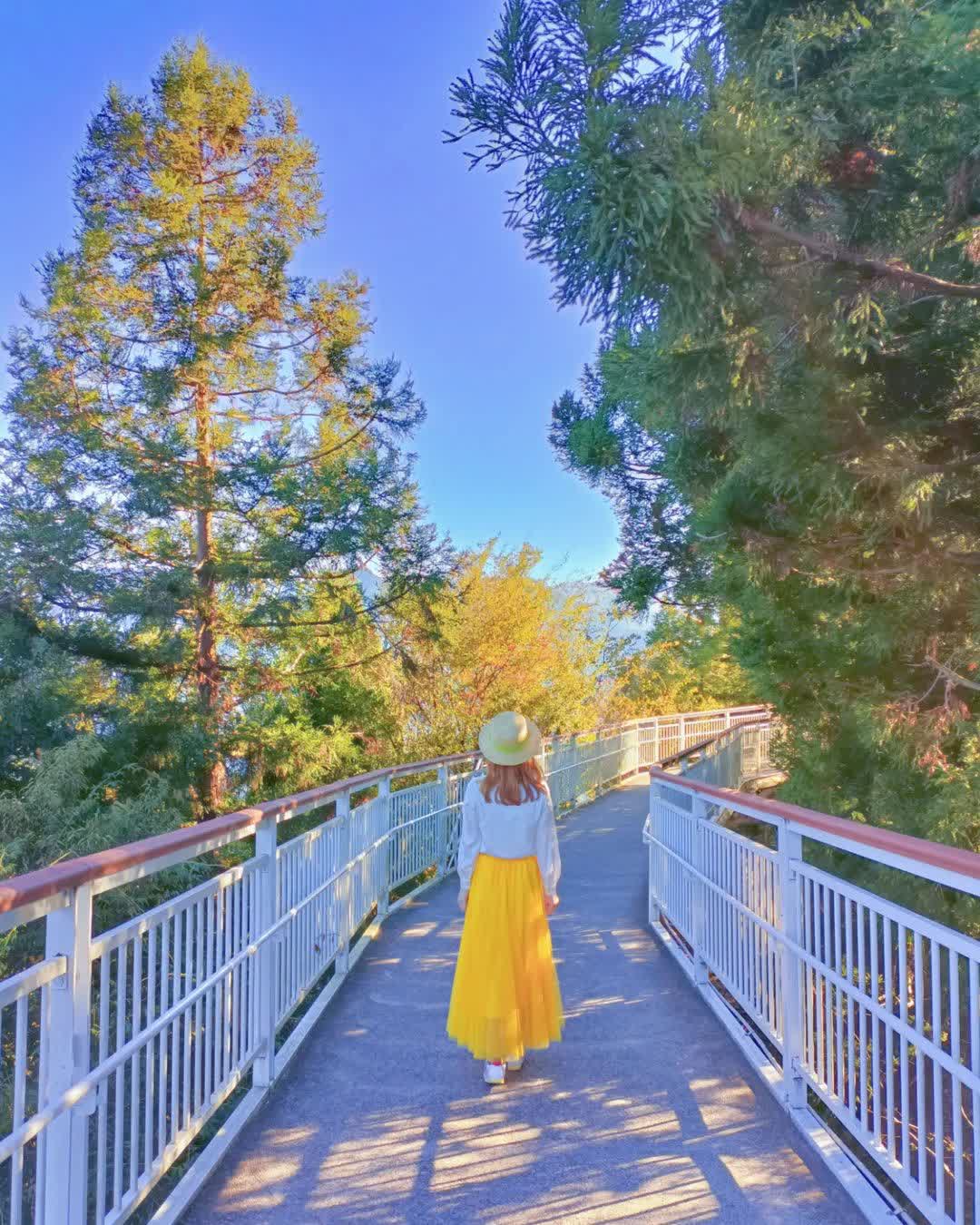 清境高空觀景步道 | 去趣 chicTrip