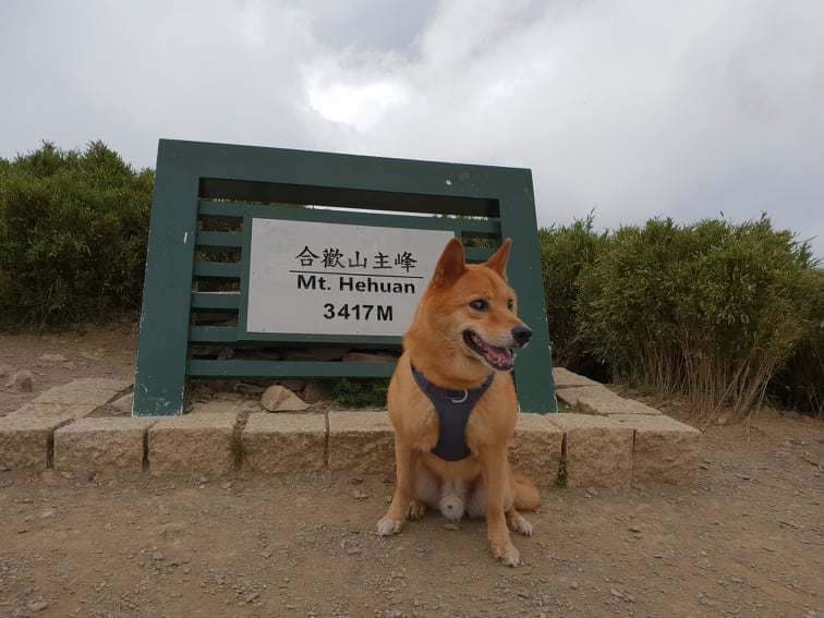 合歡山 | 去趣 chicTrip