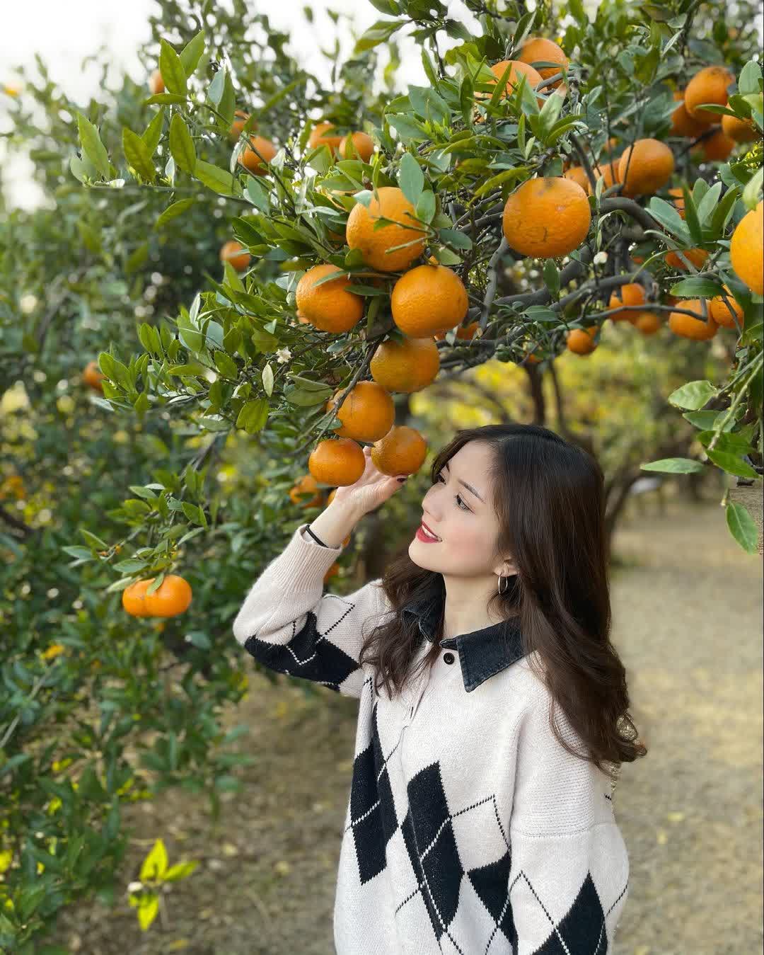 橙香森林 | 去趣 chicTrip