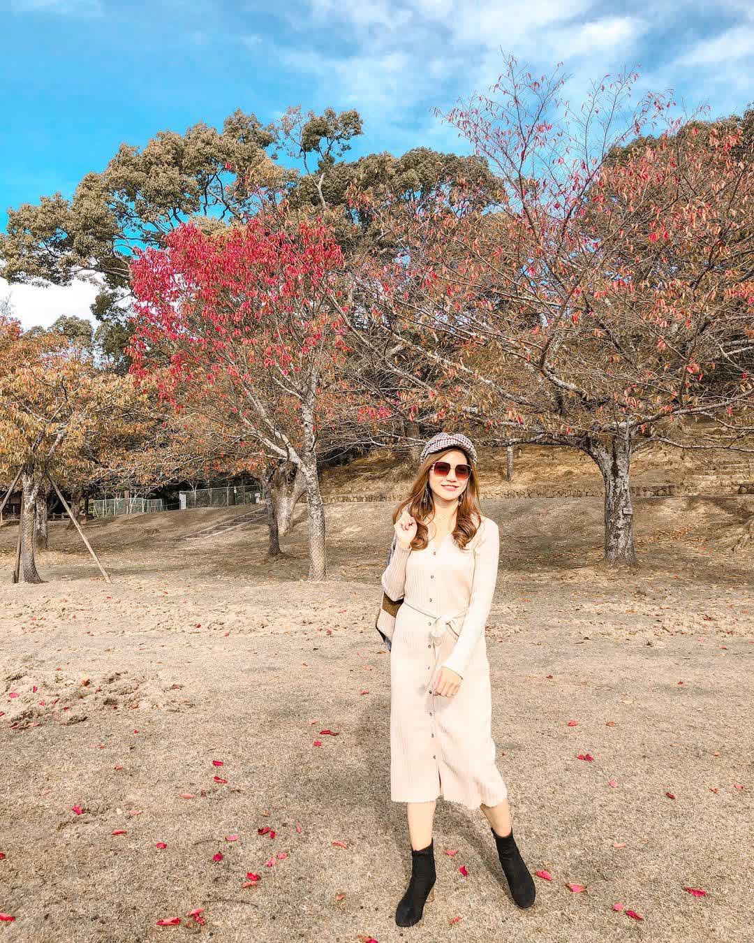 奈良公園 | 去趣 chicTrip