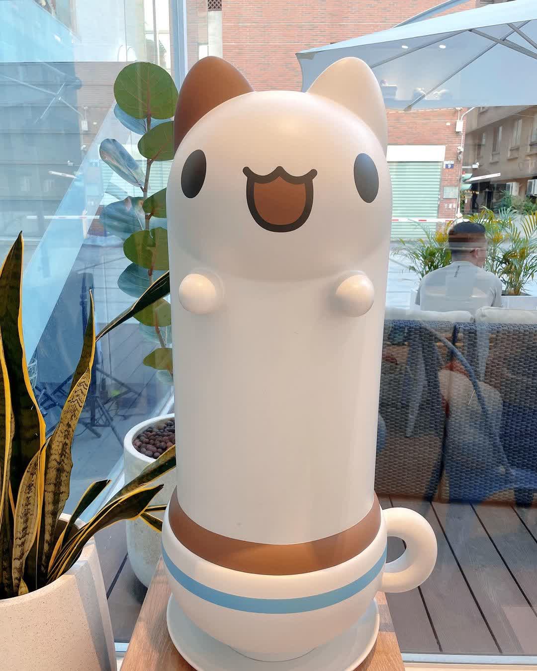 奶泡貓咖啡 Foamcat Cafe (民權店) | 去趣 chicTrip