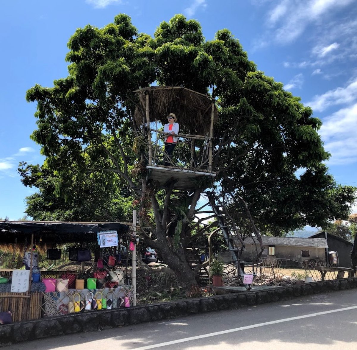 金剛大道 | 去趣 chicTrip