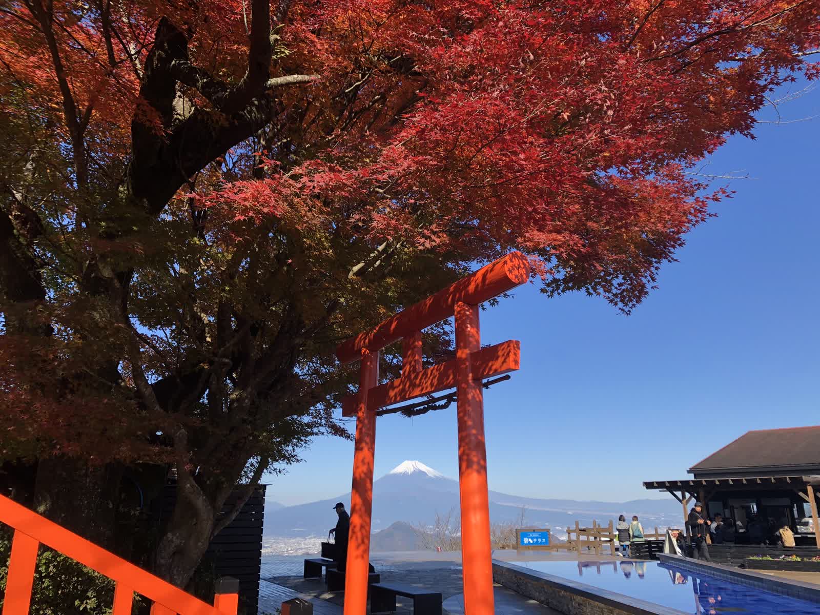 伊豆全景公園 | 去趣 chicTrip