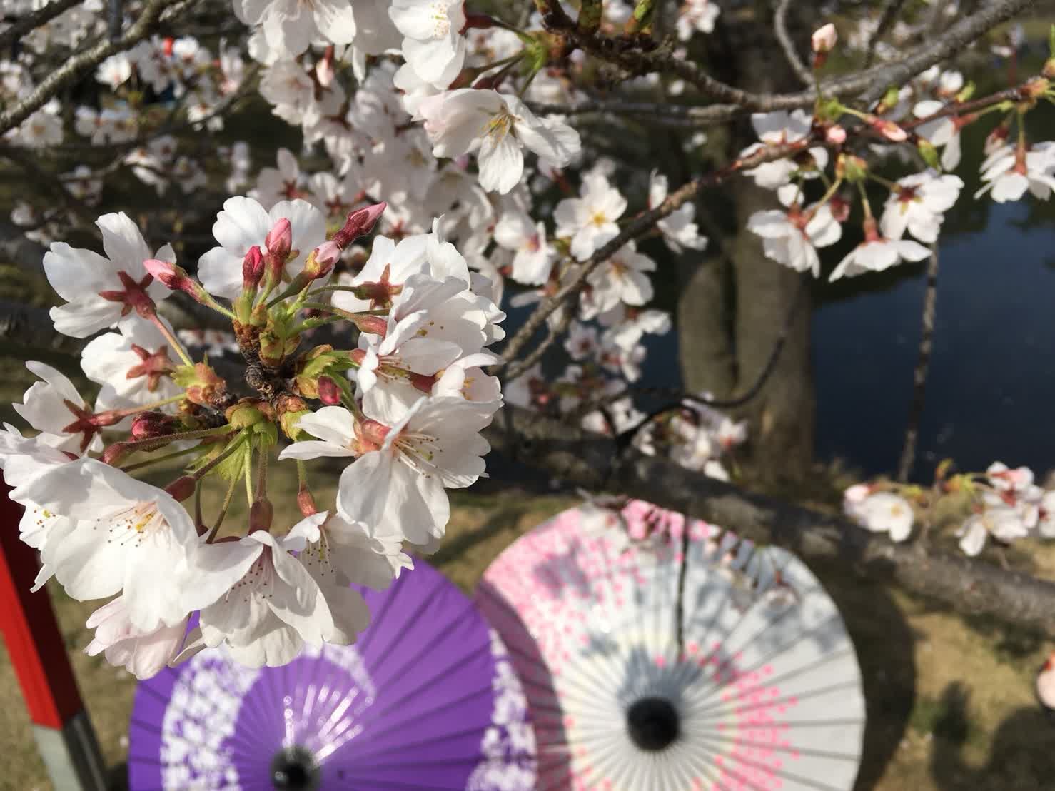 小城公園 | 去趣 chicTrip