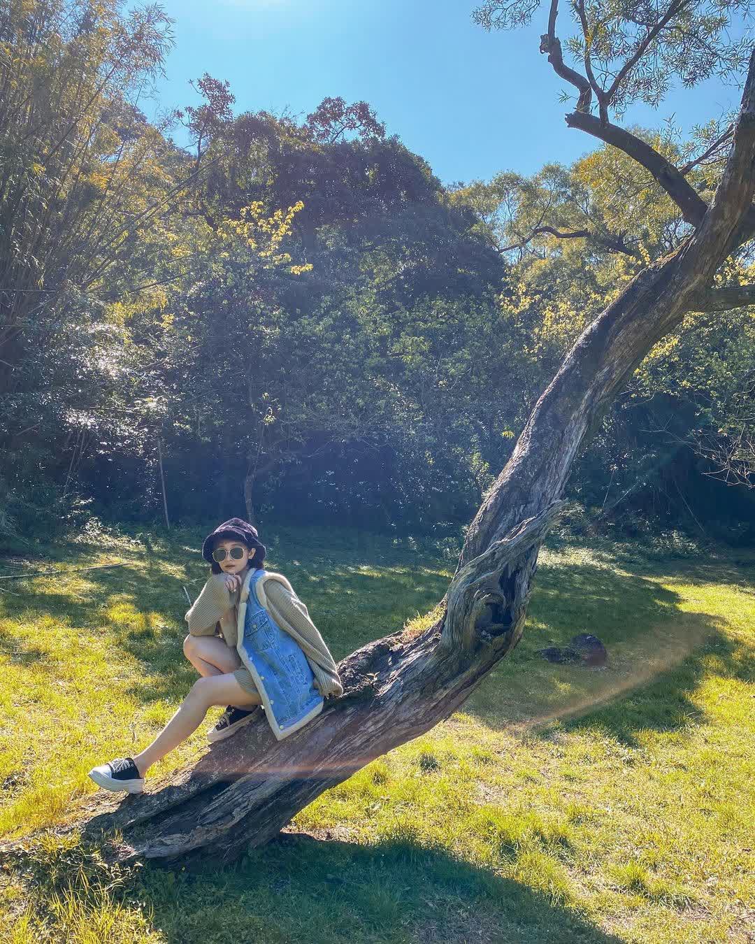 陽明山國家公園 | 去趣 chicTrip