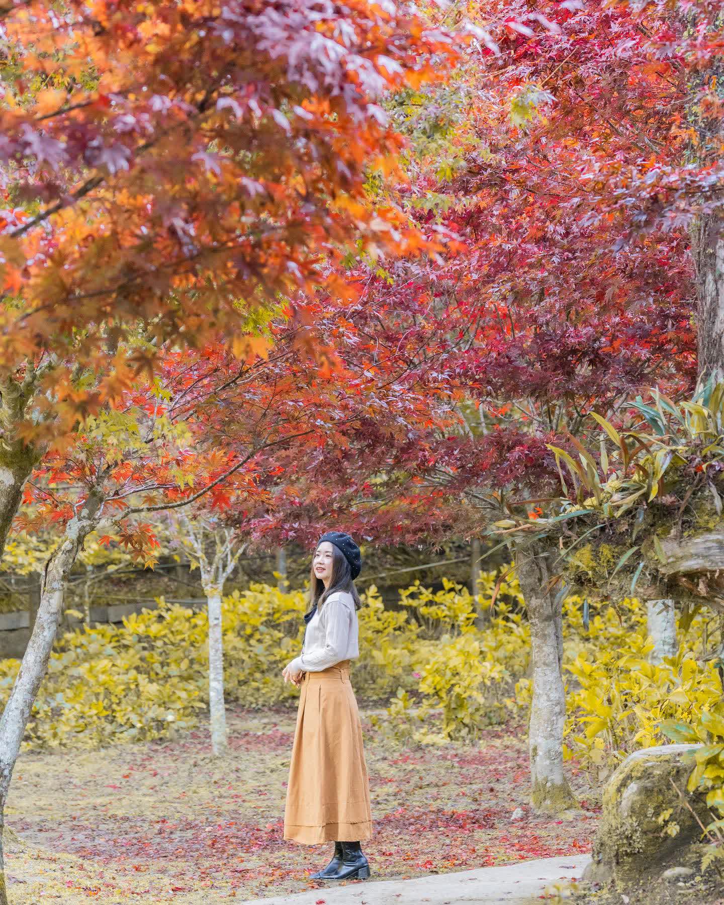 杉林溪森林生態渡假園區 | 去趣 chicTrip