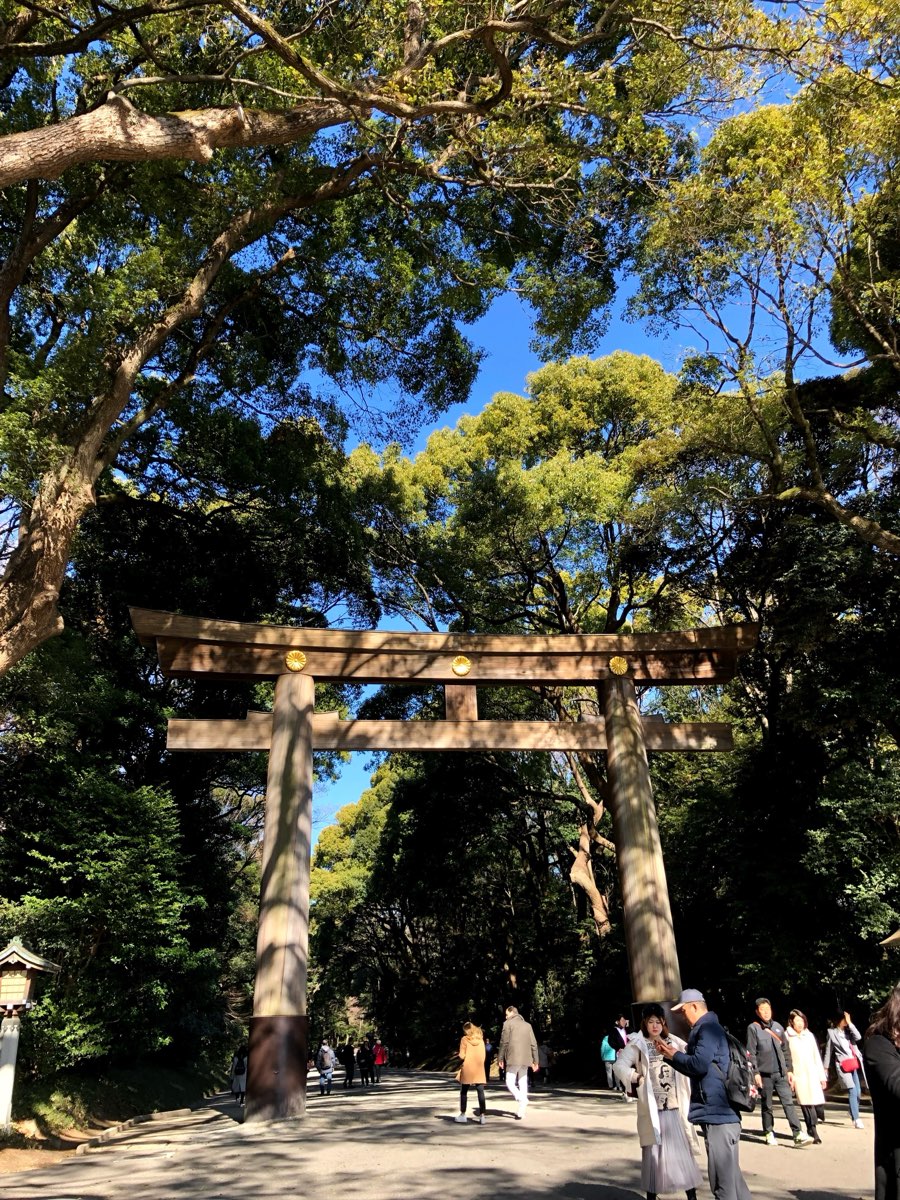 明治神宮 | 去趣 chicTrip