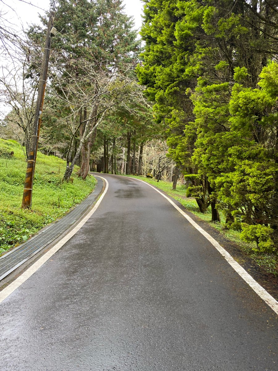 阿里山國家森林遊樂區 | 去趣 chicTrip