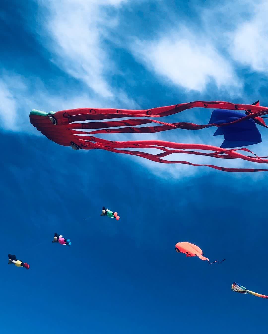 國際風箏賽場 | 去趣 chicTrip