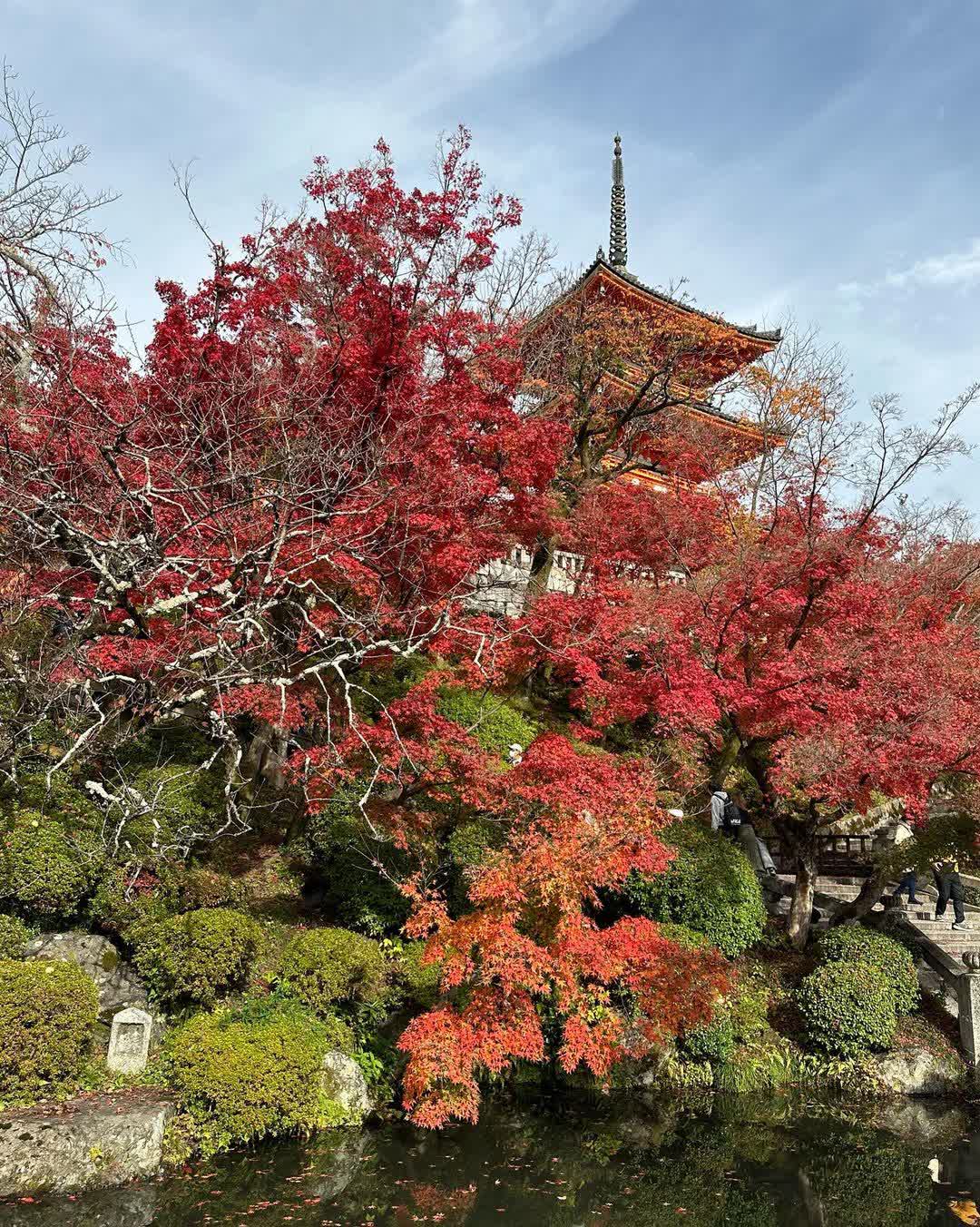 清水寺 | 去趣 chicTrip