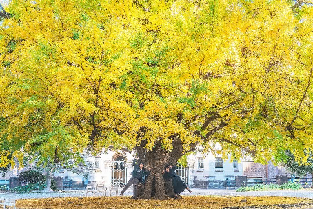 東京大學 | 去趣 chicTrip