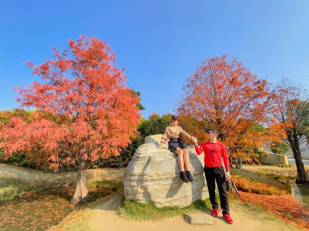 青埔落羽松秘境 | 去趣 chicTrip