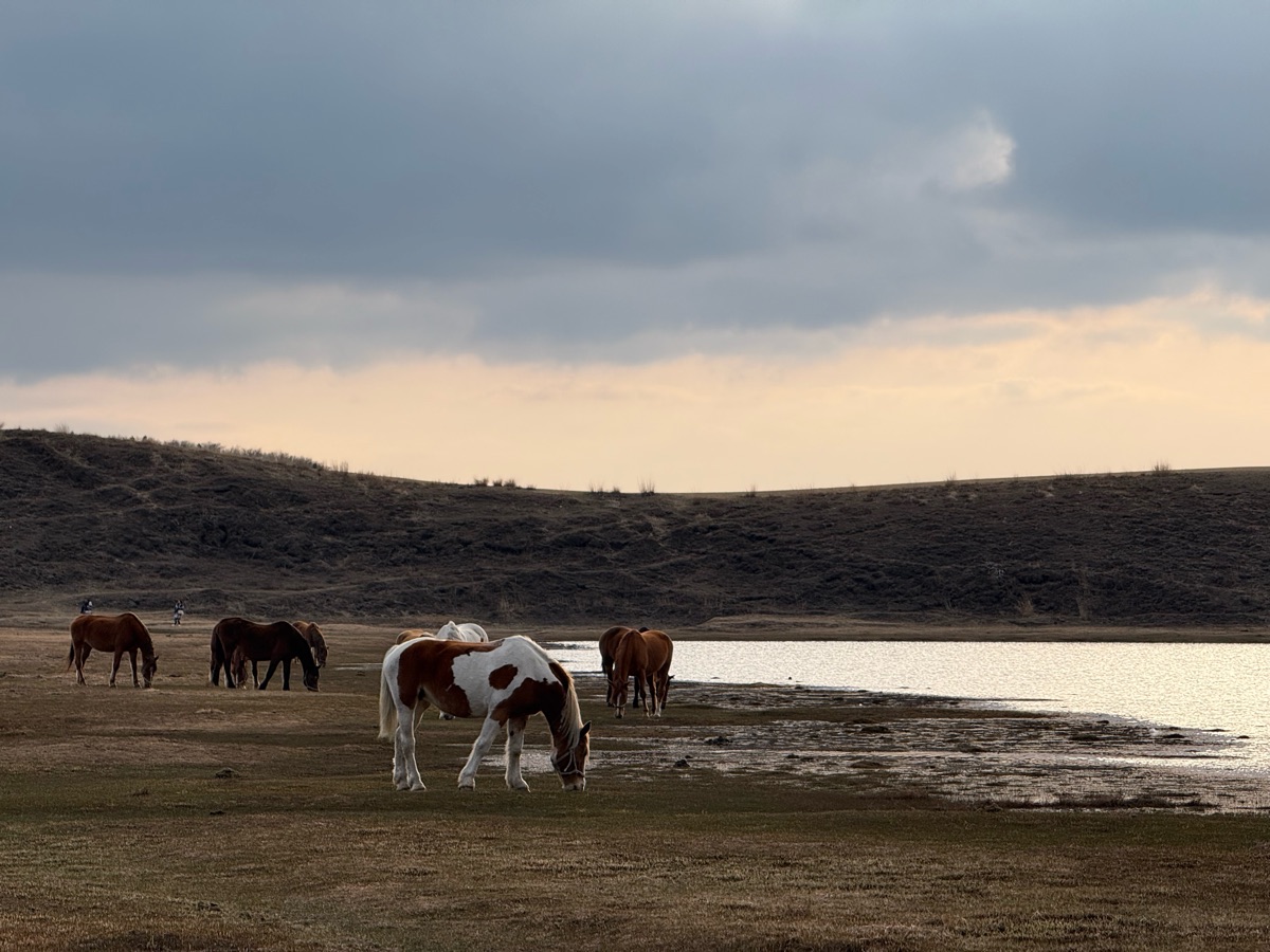 草千里（草千里之濱） | 去趣 chicTrip