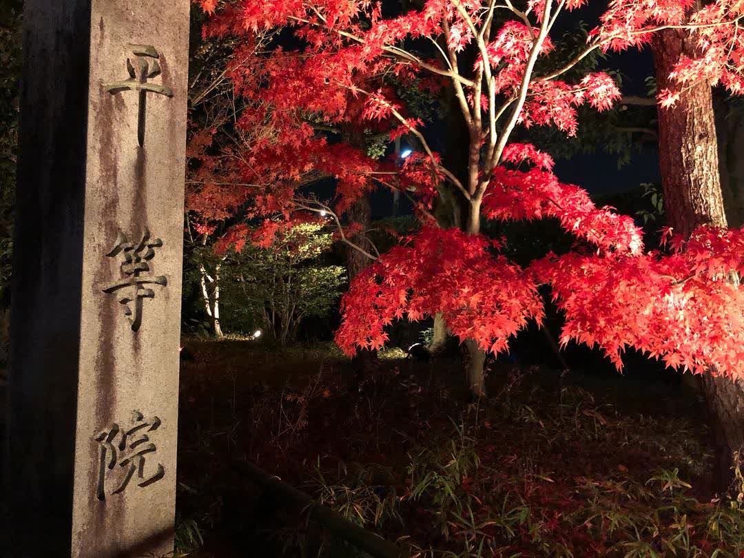 平等院 | 去趣 chicTrip