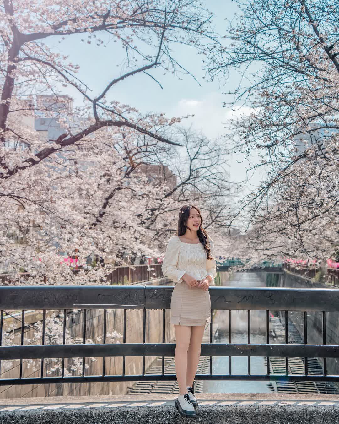 Sakura Bridge | 去趣 chicTrip