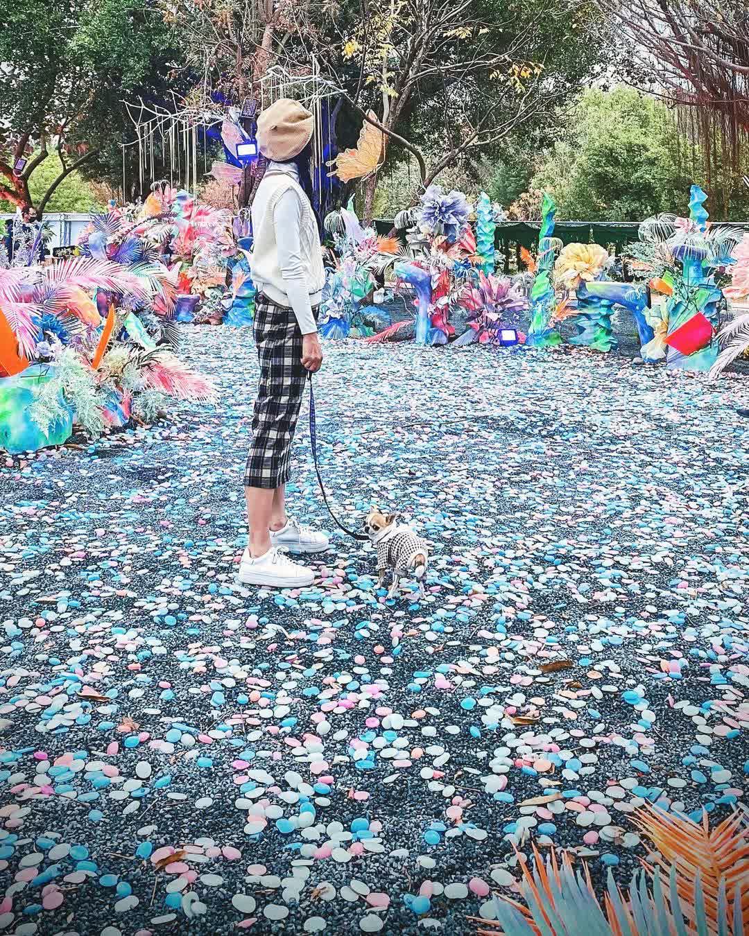 臺中中央公園 | 去趣 chicTrip