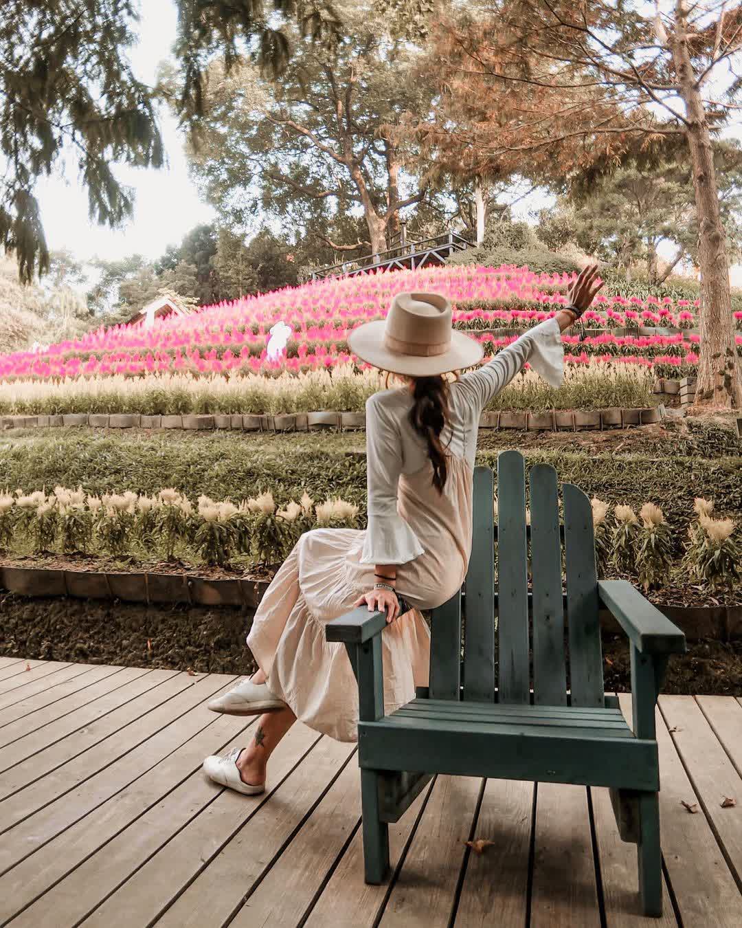 薰衣草森林台中新社店 | 去趣 chicTrip