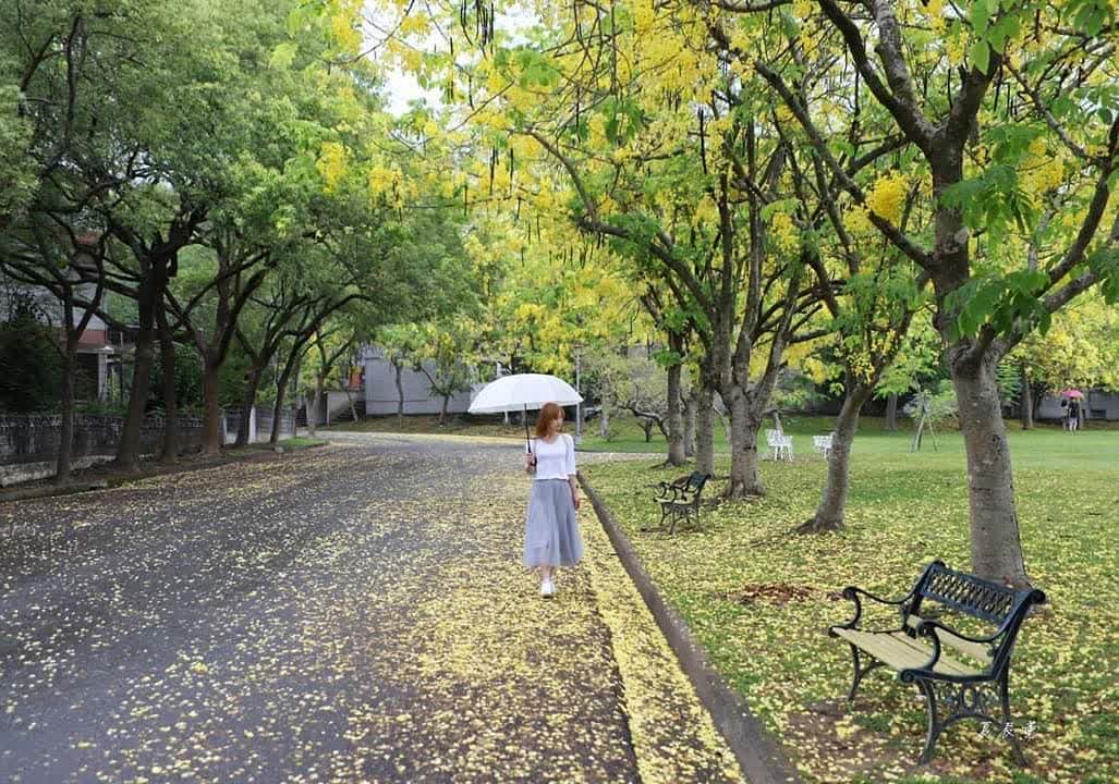 中興新村 | 去趣 chicTrip