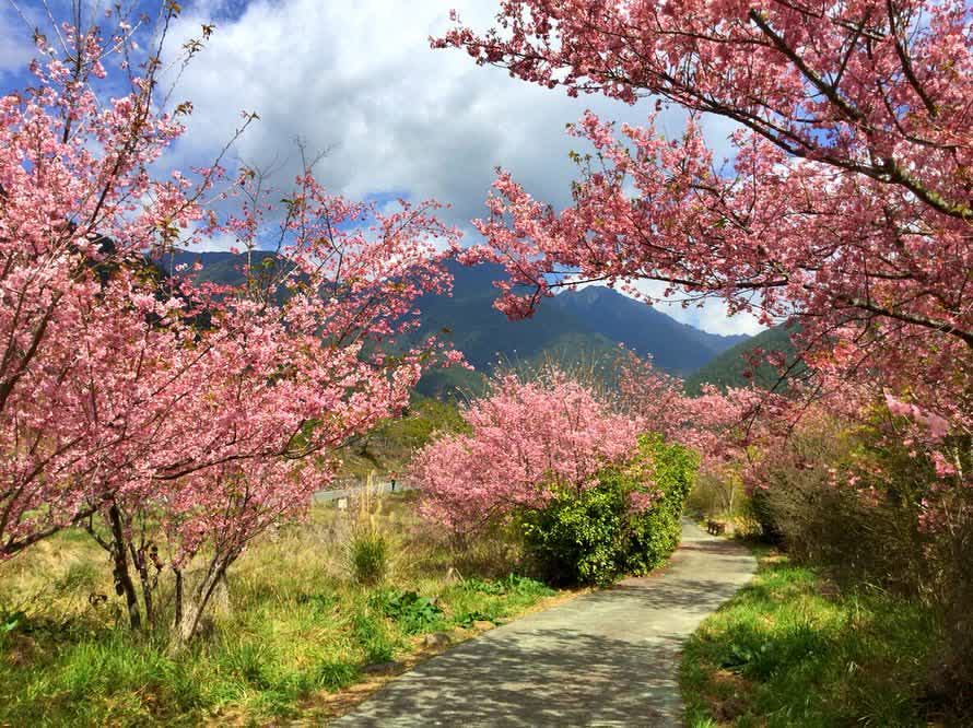 武陵農場 | 去趣 chicTrip