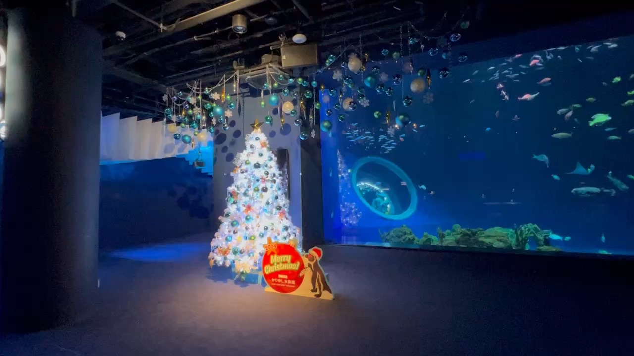 DMM Kariyushi水族館 | 去趣 chicTrip