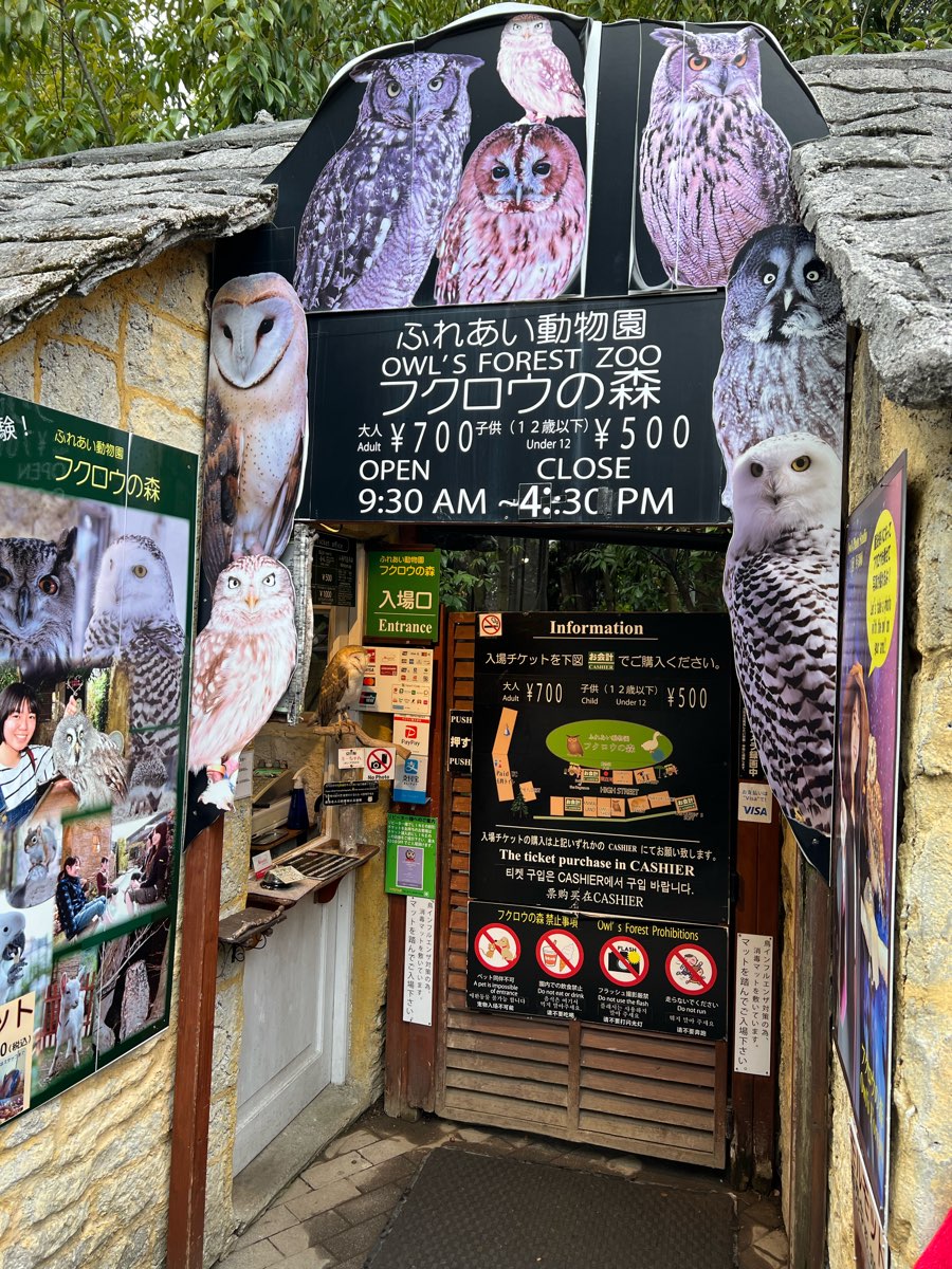 湯布院貓頭鷹之森林 | 去趣 chicTrip