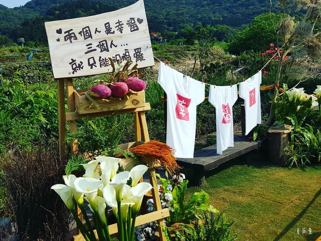 竹子湖 | 去趣 chicTrip