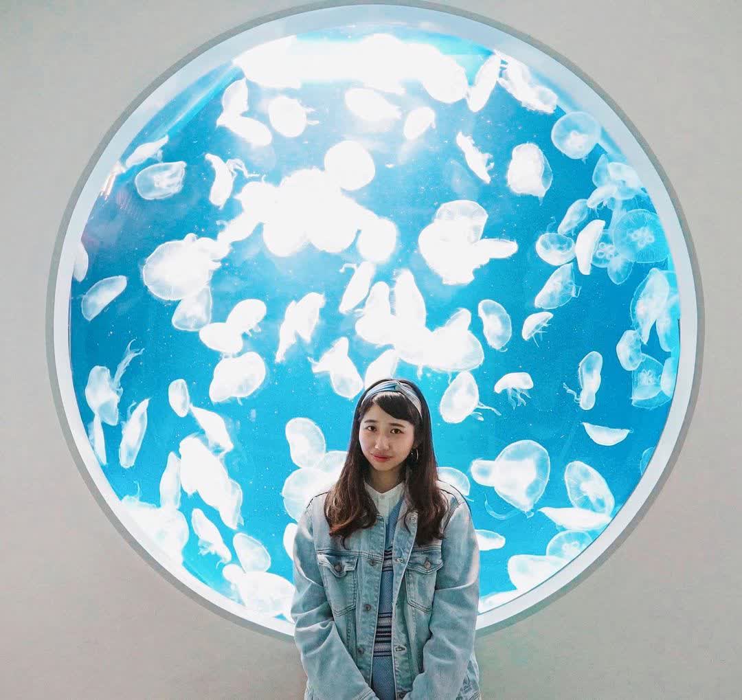 Xpark 水族館 | 去趣 chicTrip