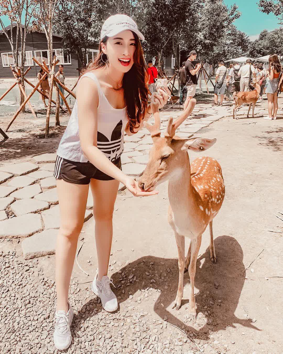 宜蘭-斑比山丘 | 去趣 chicTrip