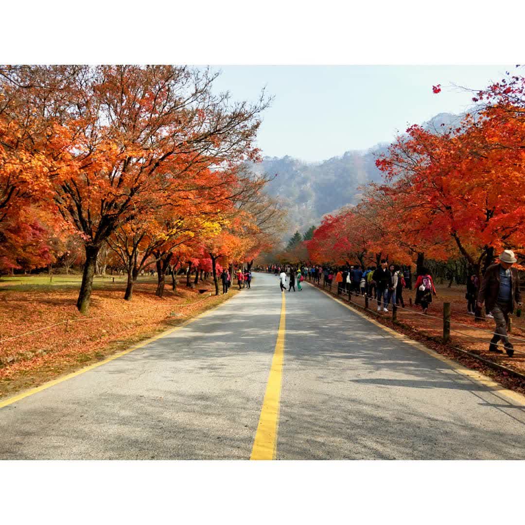 內藏山國立公園 | 去趣 chicTrip