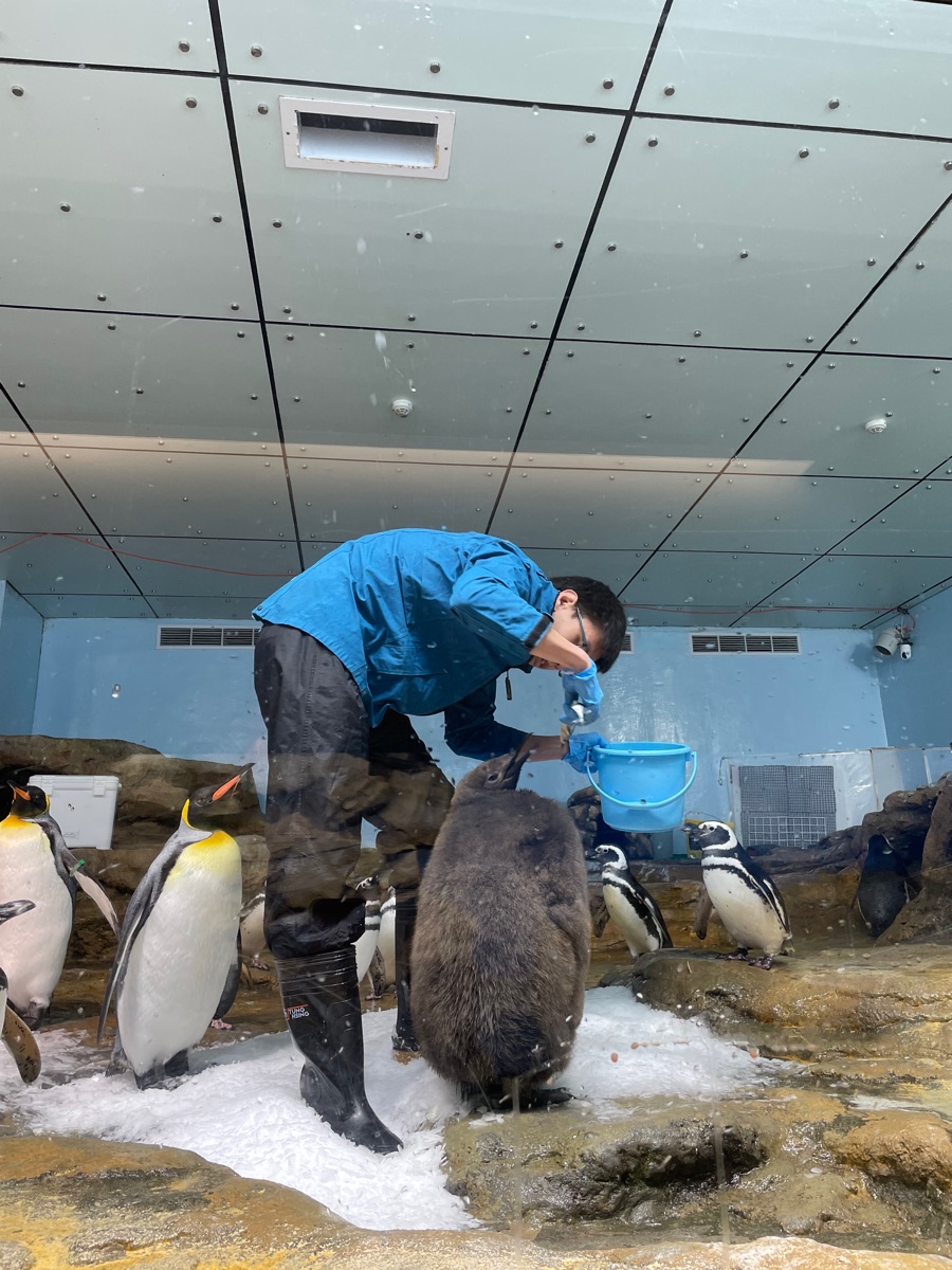 Xpark 水族館 | 去趣 chicTrip