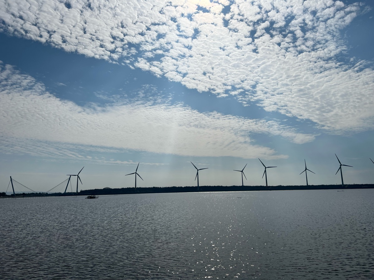 高美野生動物保護區 | 去趣 chicTrip