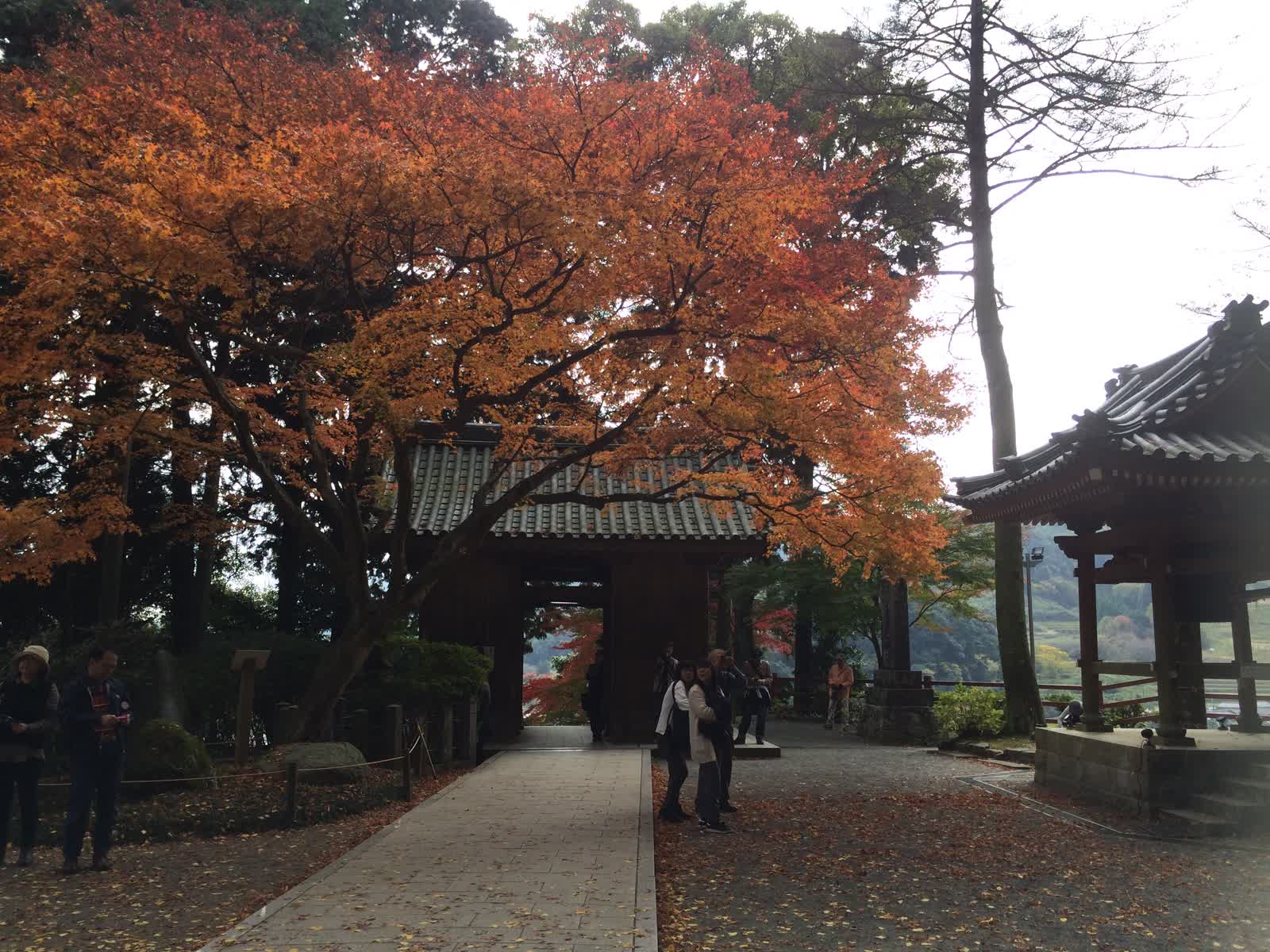 大興善寺 | 去趣 chicTrip