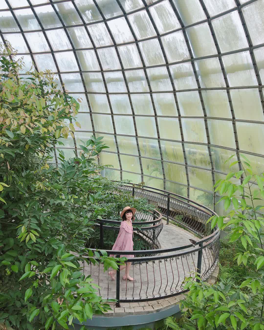 嘉大昆蟲館 | 去趣 chicTrip