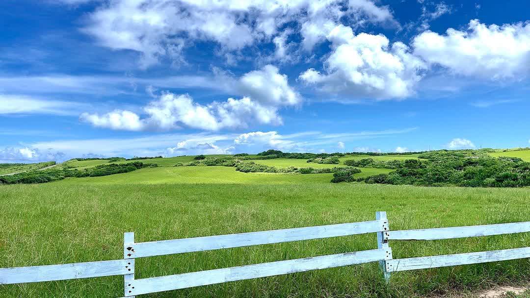 水蛙窟大草原 | 去趣 chicTrip