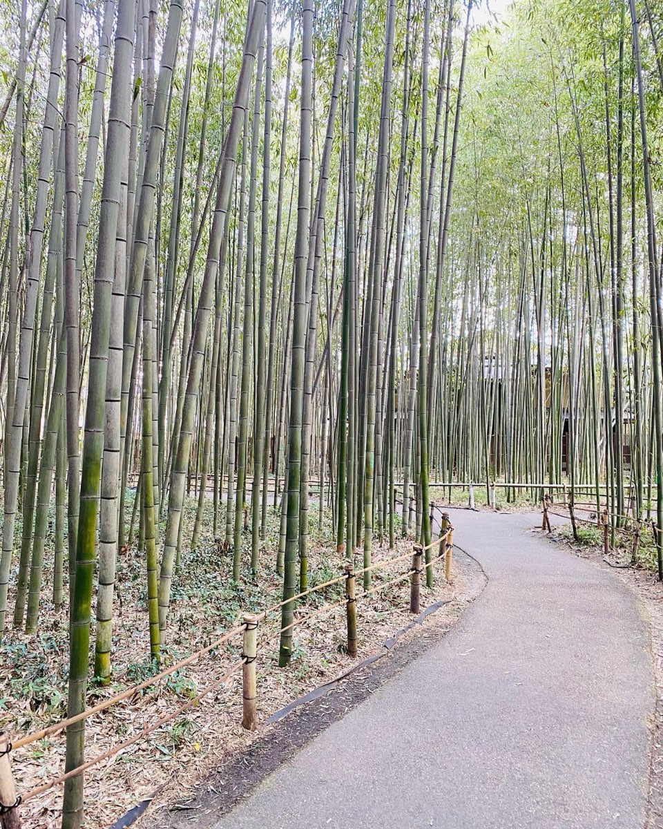 嵐山 | 去趣 chicTrip