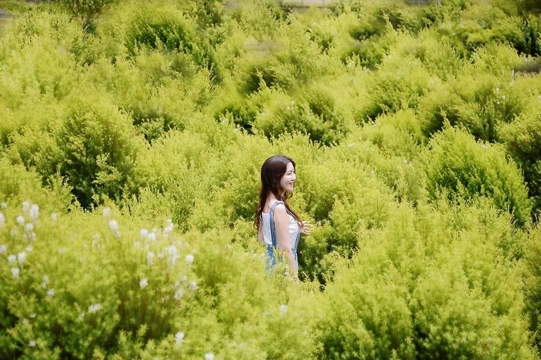 葛瑞絲香草田 | 去趣 chicTrip