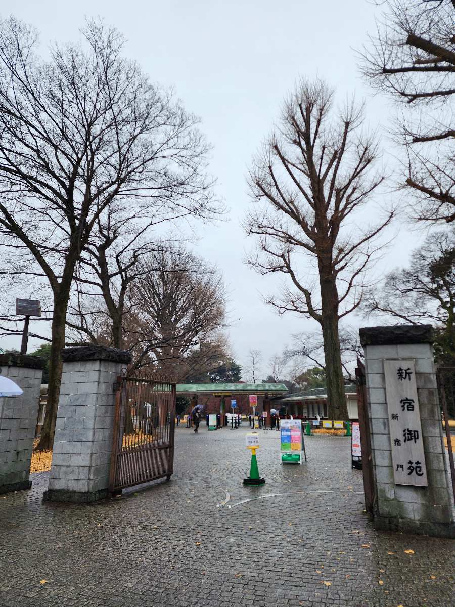 新宿御苑 | 去趣 chicTrip