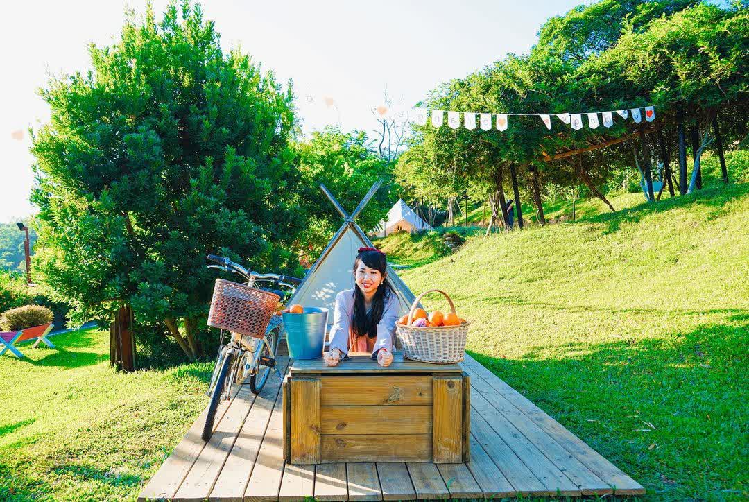 橙香森林 | 去趣 chicTrip