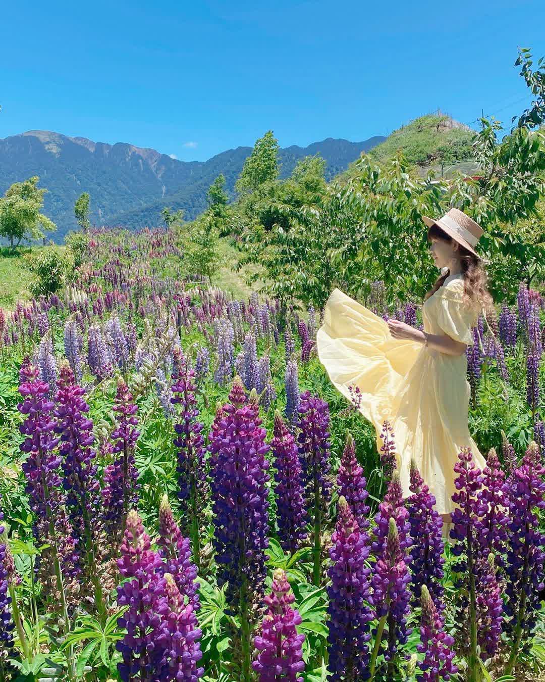 福壽山農場 | 去趣 chicTrip
